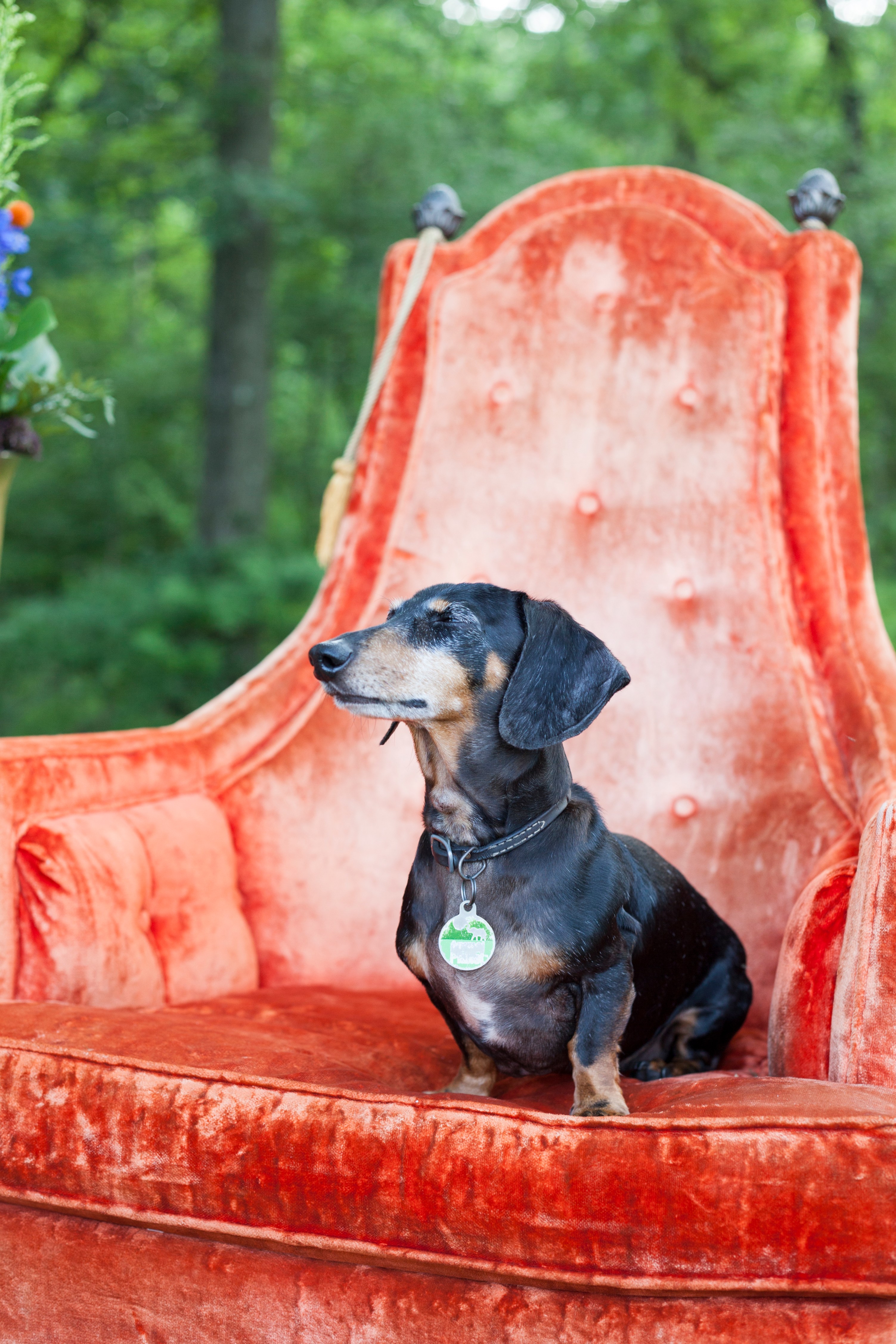 EEE536FD-B3B6-4556-A932-B42387B43058