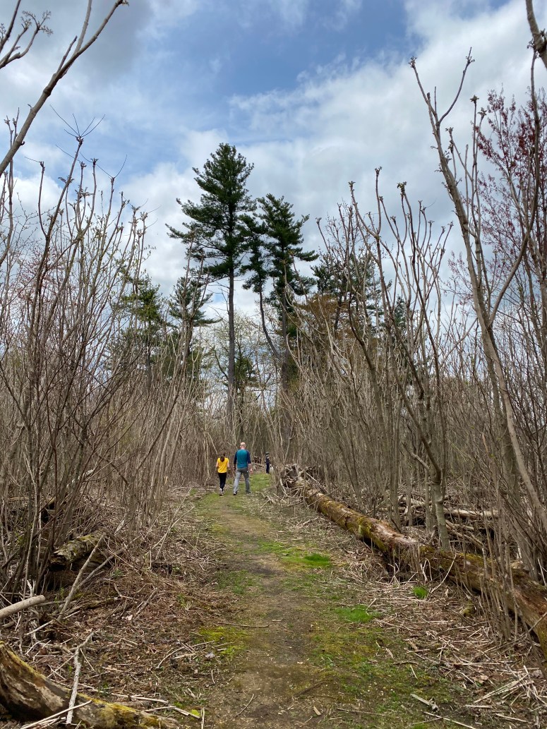 AF191026-E419-4DF8-A56C-AF92D876186B